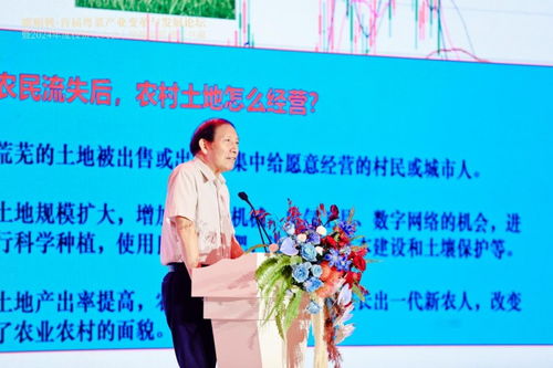 粵菜變革 抓住時代風(fēng)口，以“新味”走出“圍城”